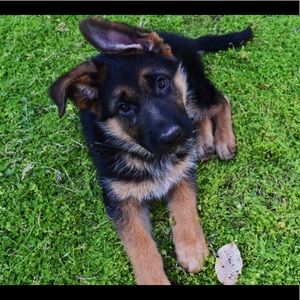 Meet your Posher, Jack